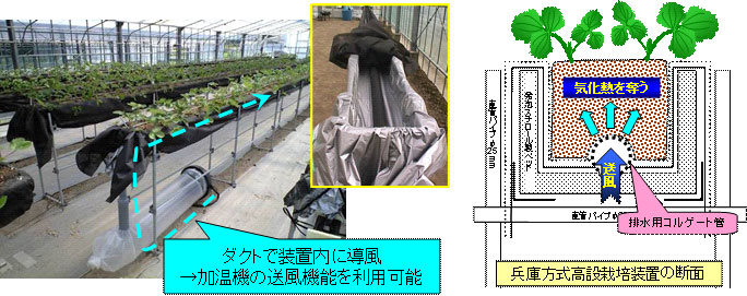 地球温暖化と気候変動の対策情報サイト／農業温暖化ネット